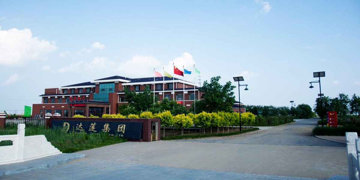 熱烈慶祝達(dá)蓮海參網(wǎng)站正式上線！